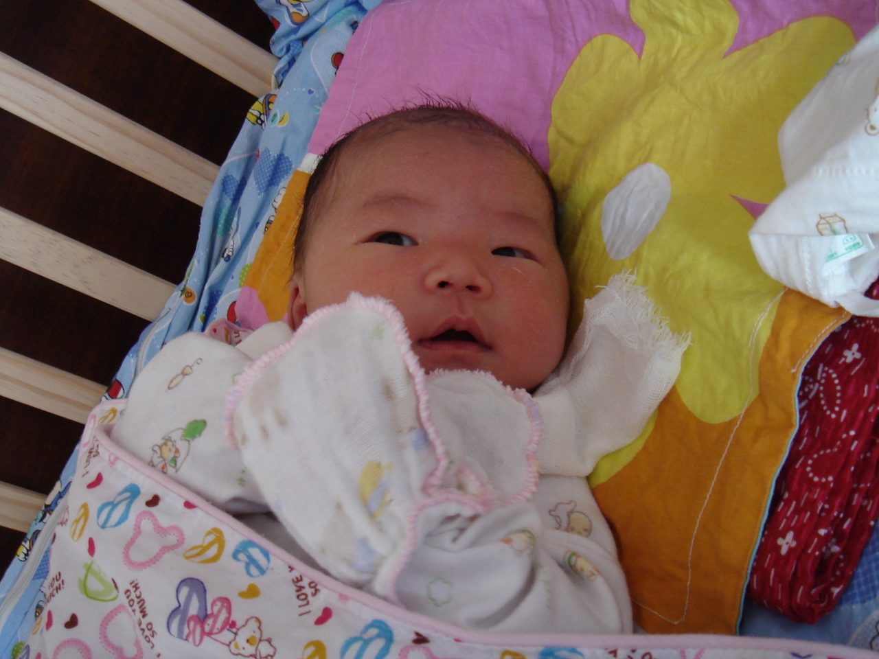 Image 2: img{512x368}