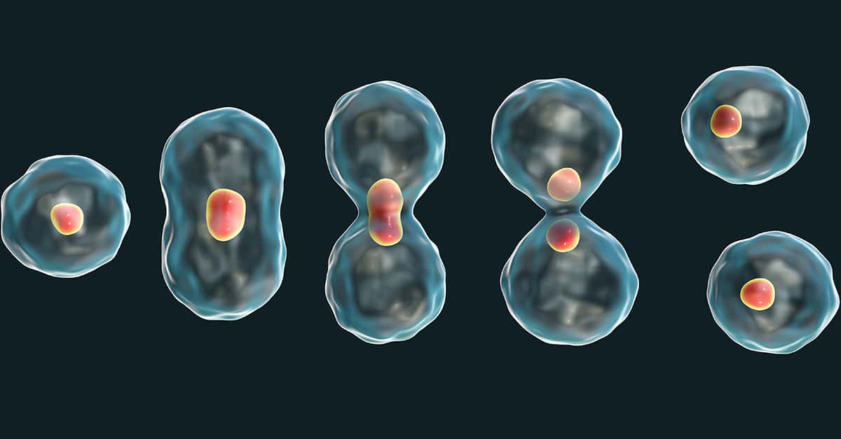 Image 34